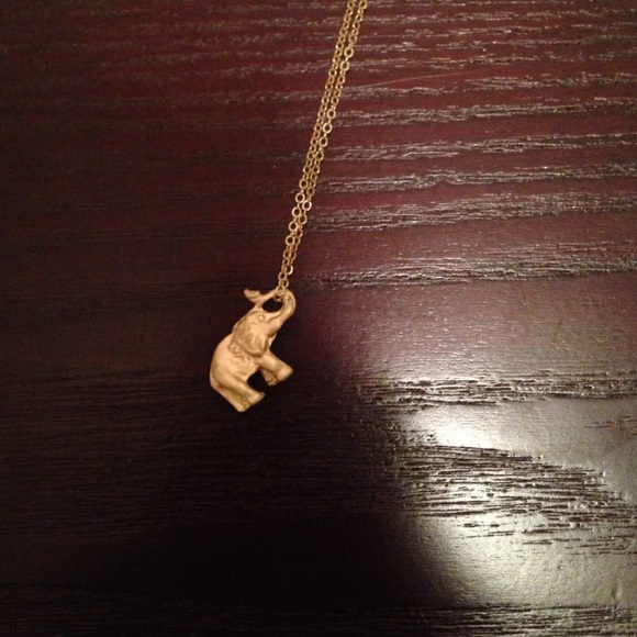 Brandy Melville Accessories - Brandy Melville Elephant Necklace!