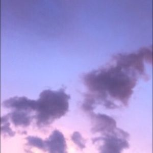 Meet your Posher, Cassey