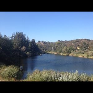 Meet your Posher, Celia