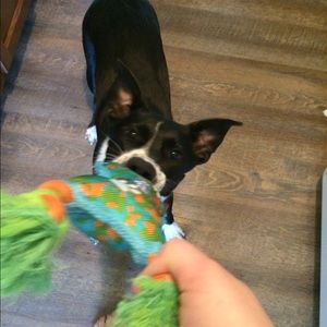 Meet your Posher, Kelsey