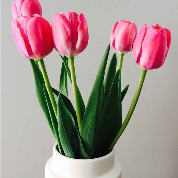 Meet your Posher, Krystal