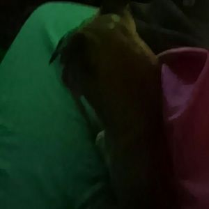 Meet your Posher, Rhonda