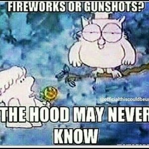 Meet your Posher, Ariana