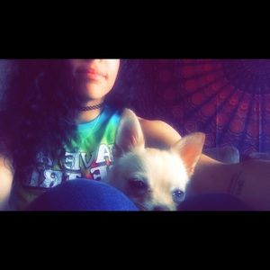 Meet your Posher, Taylor