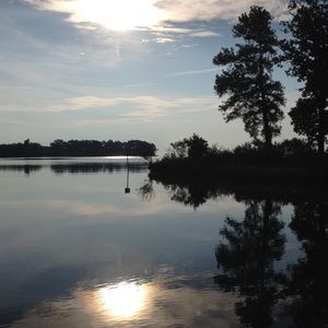 Meet your Posher, Pamela