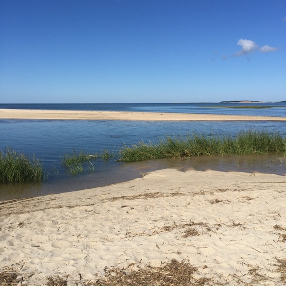 Meet your Posher, Marish - Picture 1 of 1