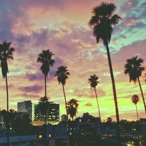 Meet your Posher, Saida