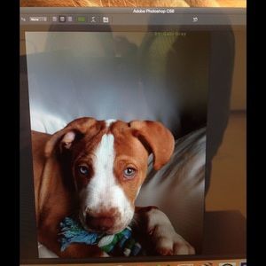 Meet your Posher, Gabrielle