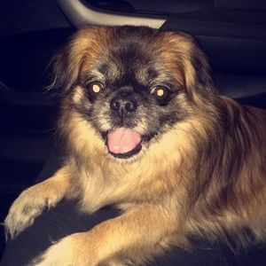 Meet your Posher, Heather