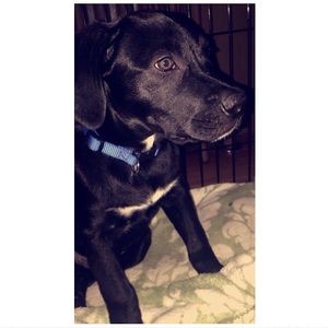 Meet your Posher, Julia