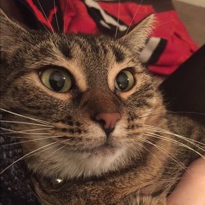 Meet your Posher, Summer