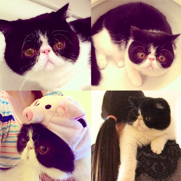 Meet your Posher, part 1 - Picture 3 of 4