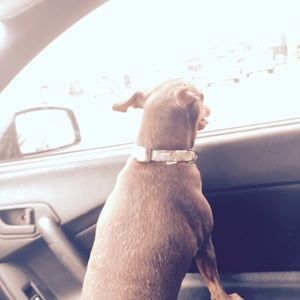 Meet your Posher, Jamie