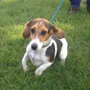 Meet your Posher, Diane