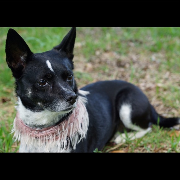 Meet your Posher, Rachel Stacy I ❤️FASHION! - Picture 14 of 16