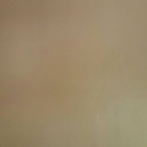 Meet your Posher, Pooja