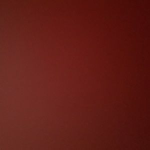 Meet your Posher, Daisy