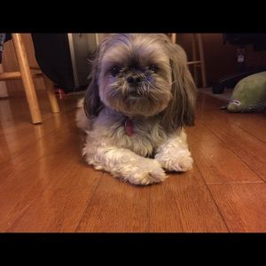 Meet your Posher, Krystle