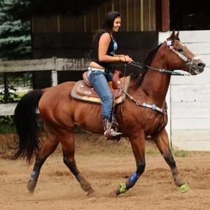 Meet your Posher, Jazmine