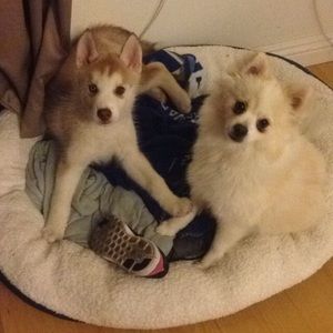 Meet your Posher, Marlene