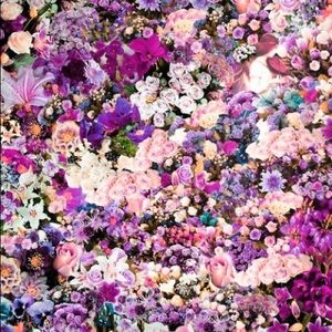 Meet your Posher, Lilia