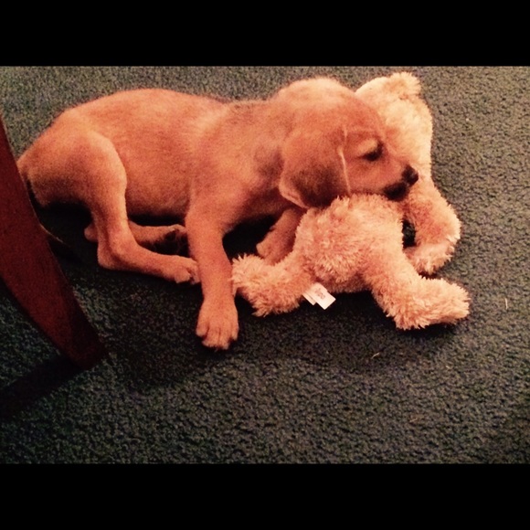 Meet your Posher, Eric - Picture 1 of 1