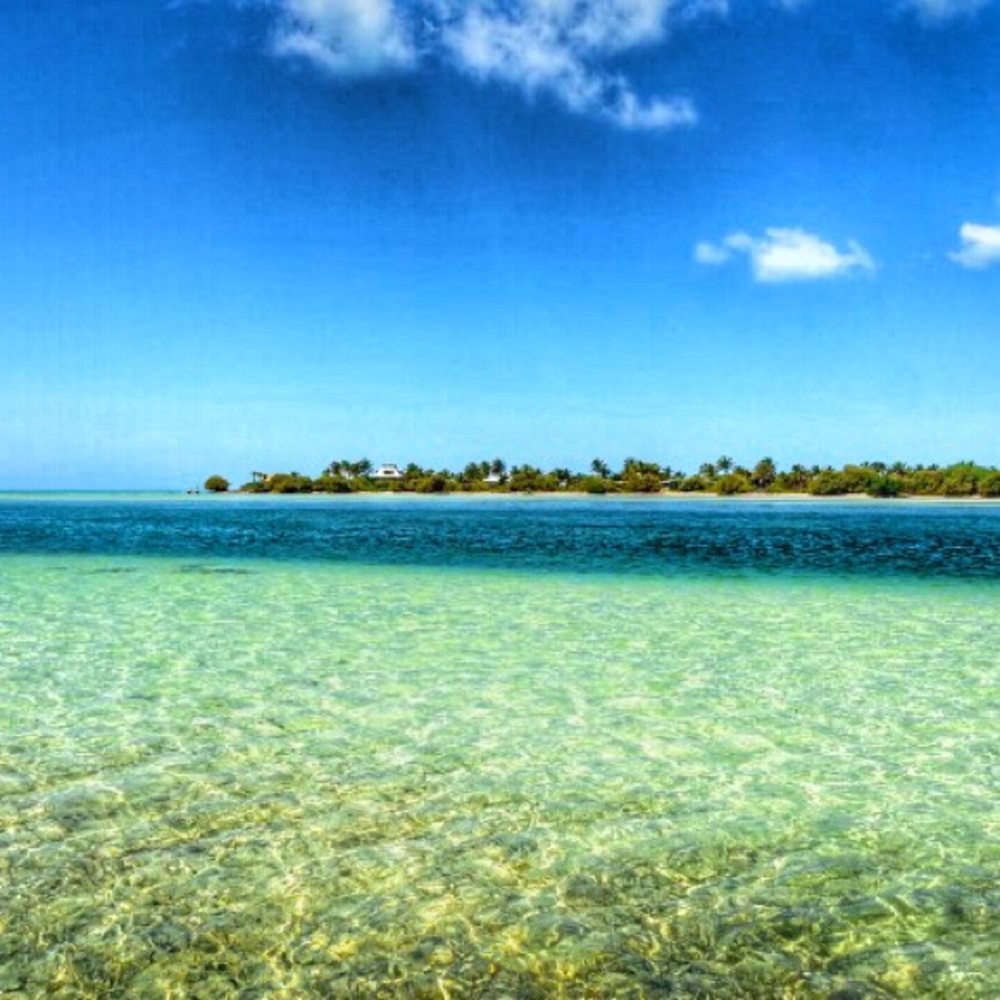 Meet your Posher, Glynn