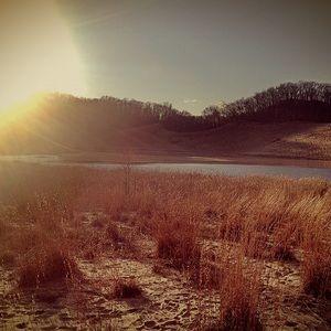 Meet your Posher, Bridget