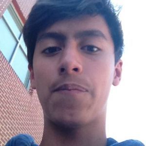 Meet your Posher, Perry