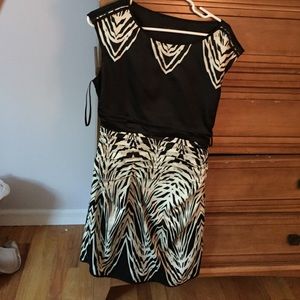 The Limited zebra sheath