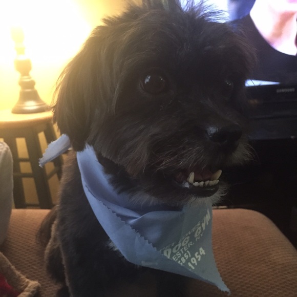 Meet your Posher, Rachel