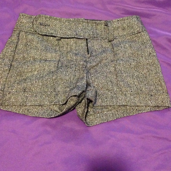 Body Central Shorts