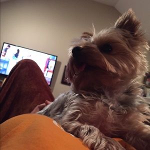 Meet your Posher, Anna