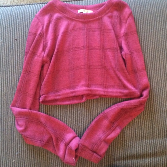 Long sleeved crop top