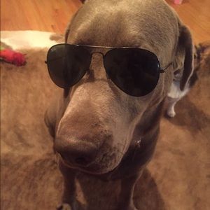 Meet your Posher, Mac