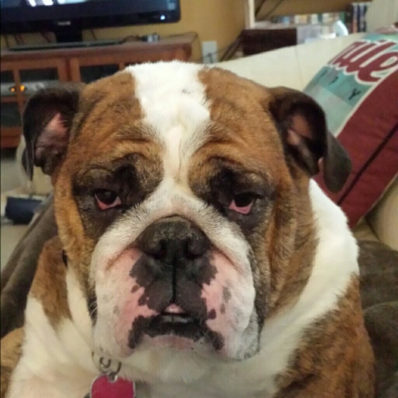 10000000 - Picture 2 of 4