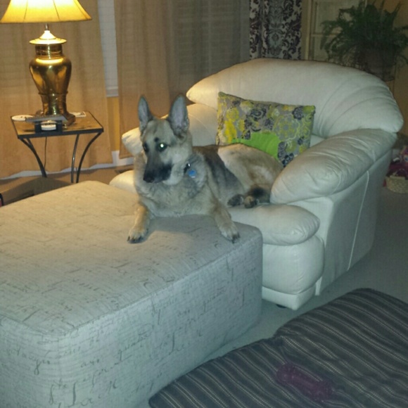 10000000 - Picture 3 of 4