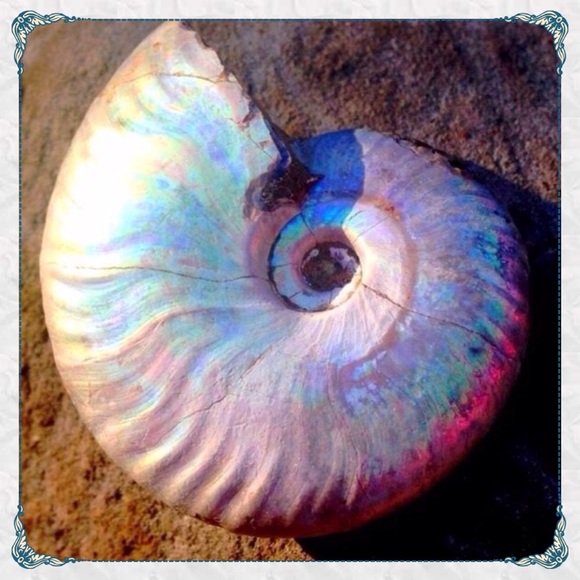 Meet your Posher, Melanie🌀 - Picture 3 of 3