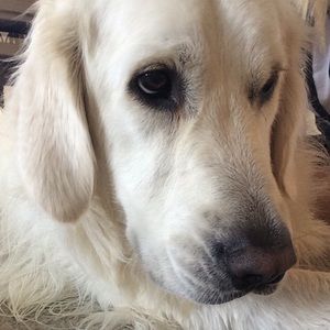 Meet your Posher, Marisaa