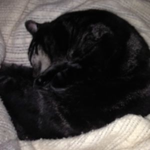 Meet your Posher, Jon ross