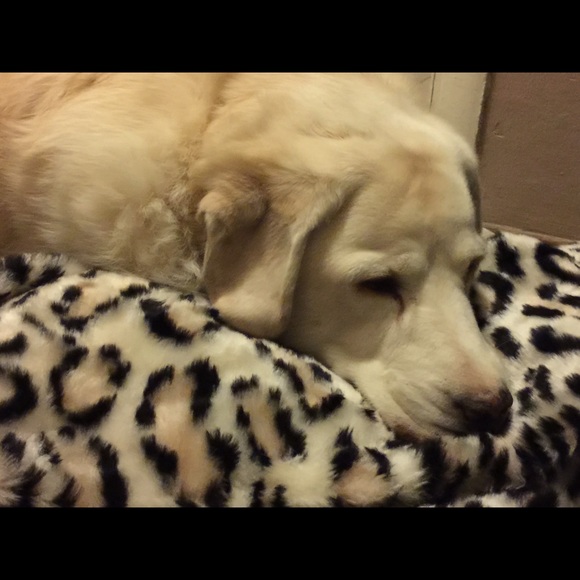 Meet your Posher, Debbie - Picture 2 of 2