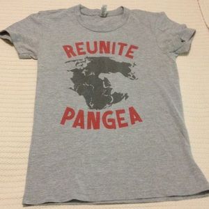 American Apparel Gray Reunite Pangea TShirt