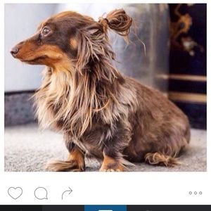 Meet your Posher, Margo