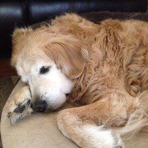 Meet your Posher, Gina