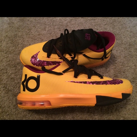 Kd's