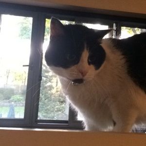 Meet your Posher, Tiffany