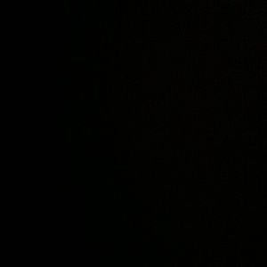 Meet your Posher, Nalani