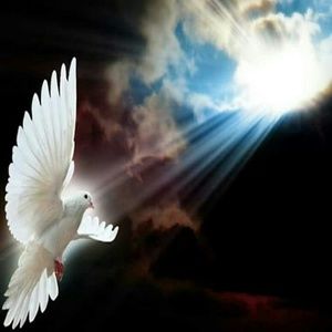 Meet your Posher, Katrina