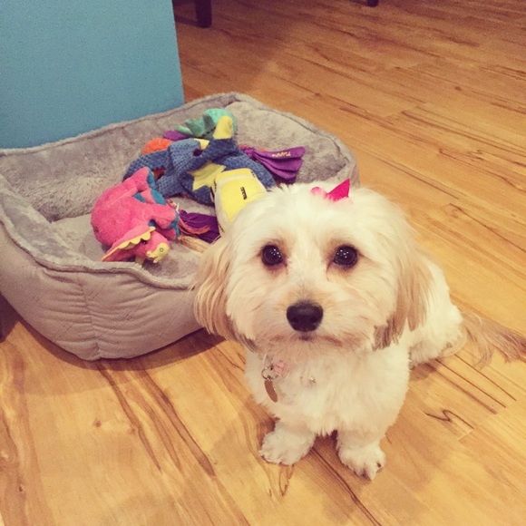 Meet your Posher, Wendy - Picture 3 of 4