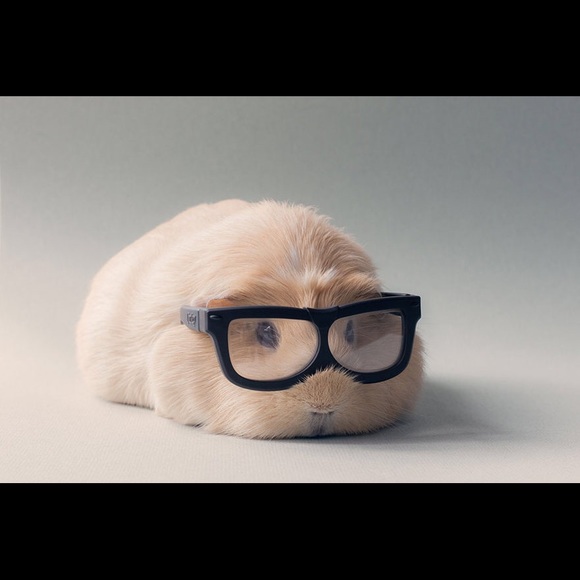 Hey everyone! Thank you !